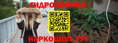 спайс Берёзовский